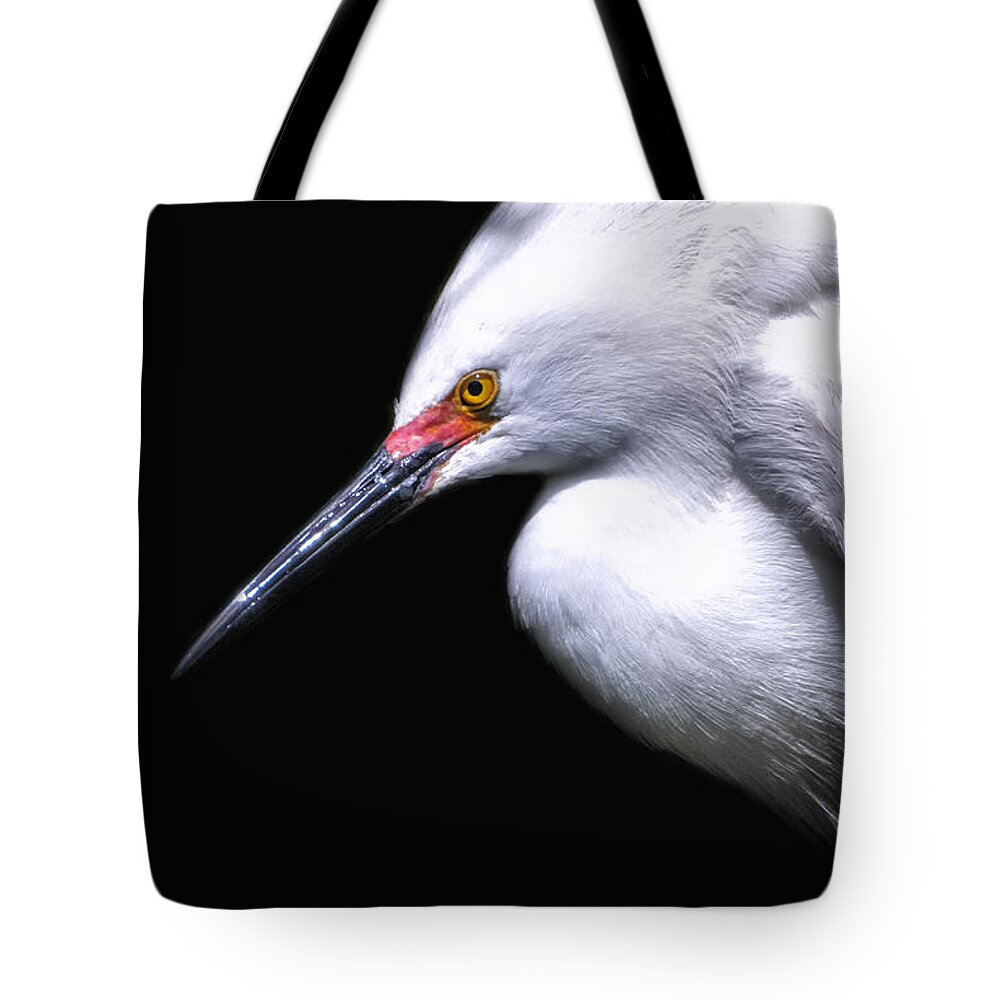 Crystal Yingling Tote Bag featuring the photograph A Little Light by Ghostwinds Photography