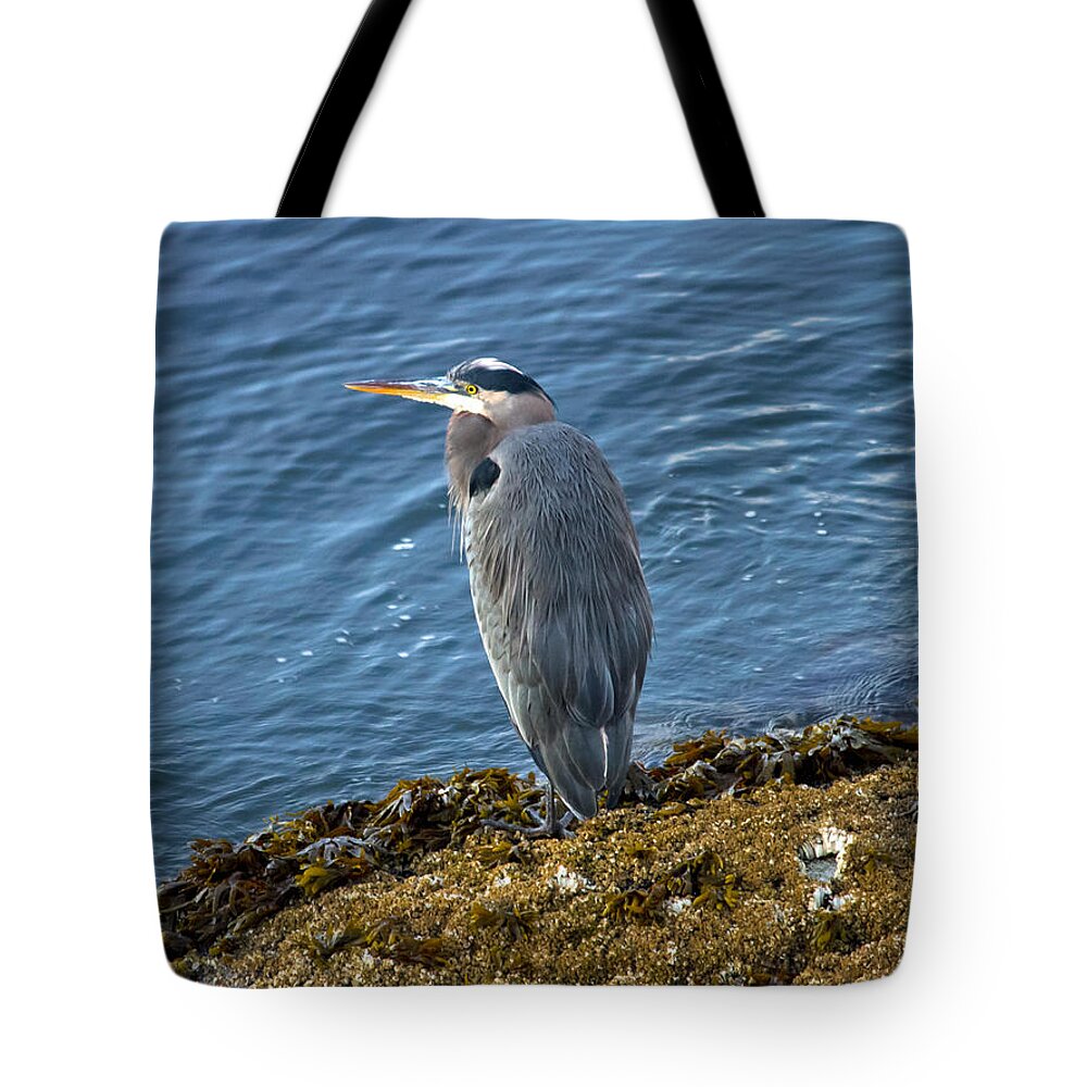 Heron Tote Bag featuring the photograph Blue Heron on a rock by Eti Reid