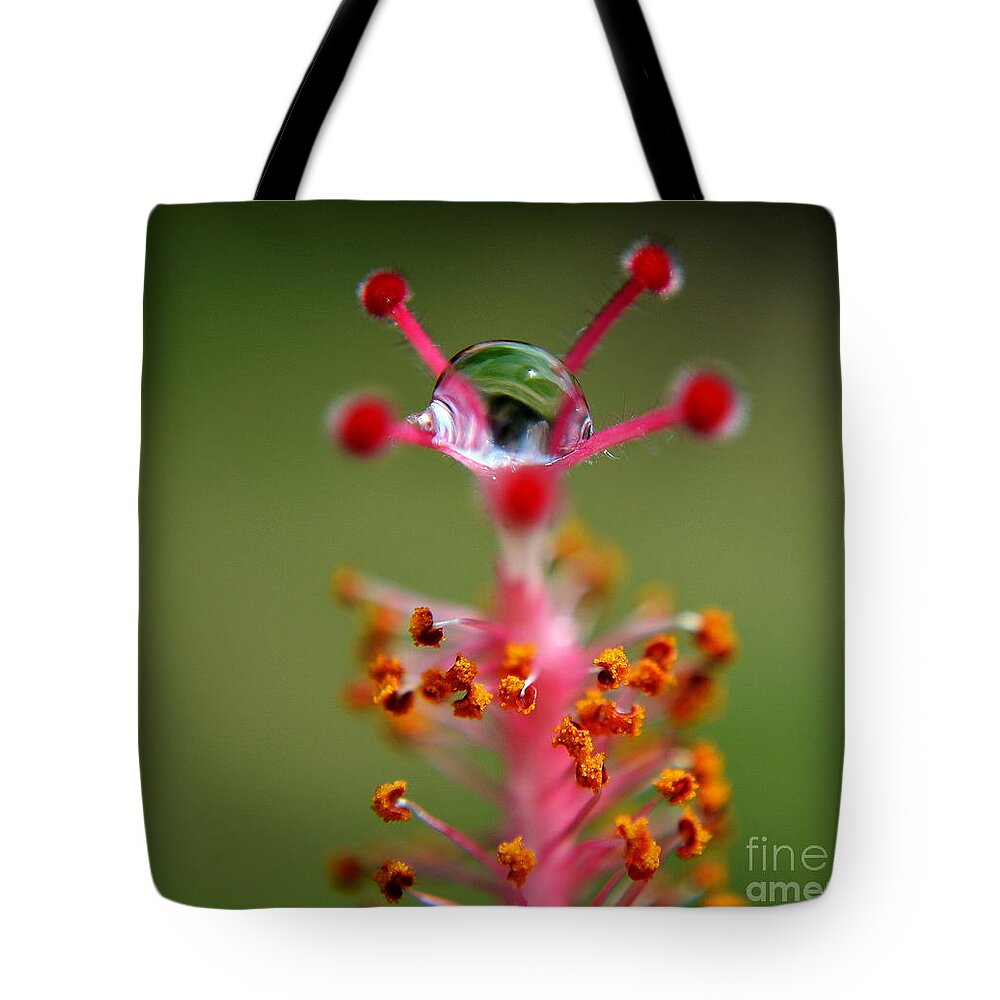 Michelle Meenawong Tote Bag featuring the photograph Eye by Michelle Meenawong