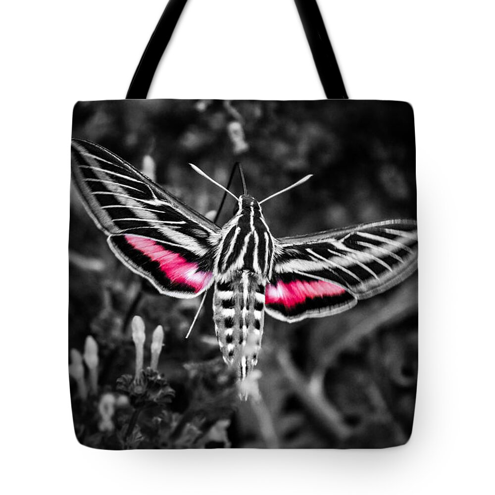  White-lined Sphinx Tote Bag featuring the photograph Hummingbird Moth BW Print by Doug Long