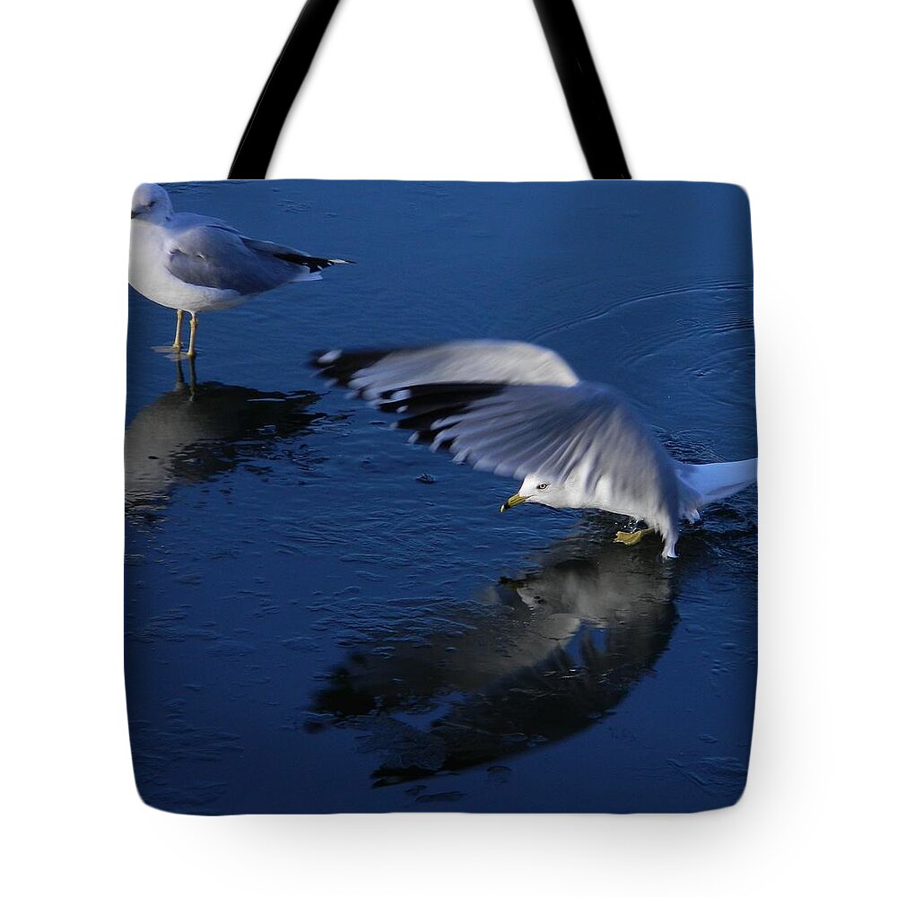 Landing On Icy Water Tote Bag featuring the photograph Landing On Icy Water by Emmy Vickers