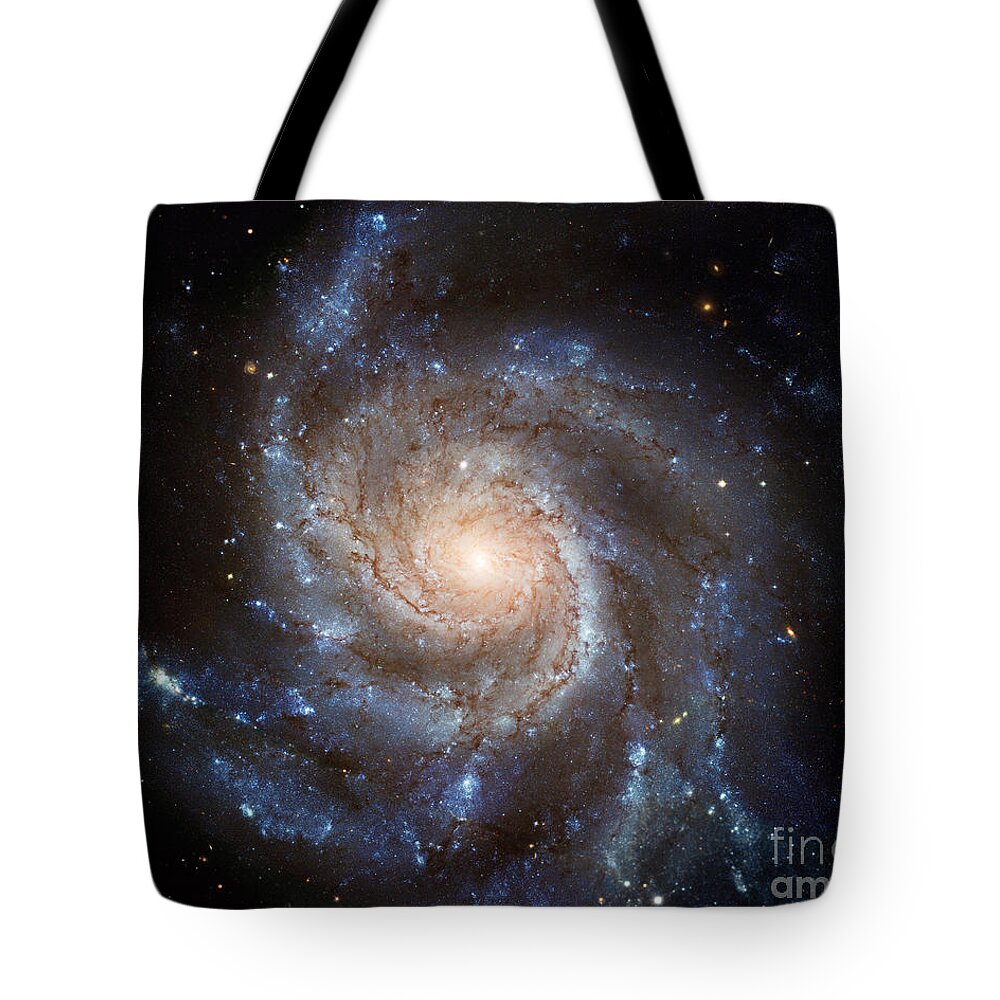 Astronomy Tote Bag featuring the photograph Messier 101 by Barbara McMahon