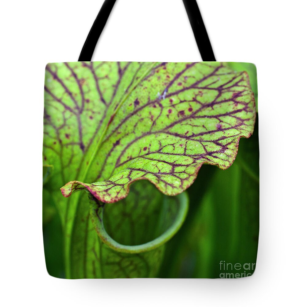 Pitfall Trap Tote Bag featuring the photograph Pitcher Plants by Heiko Koehrer-Wagner