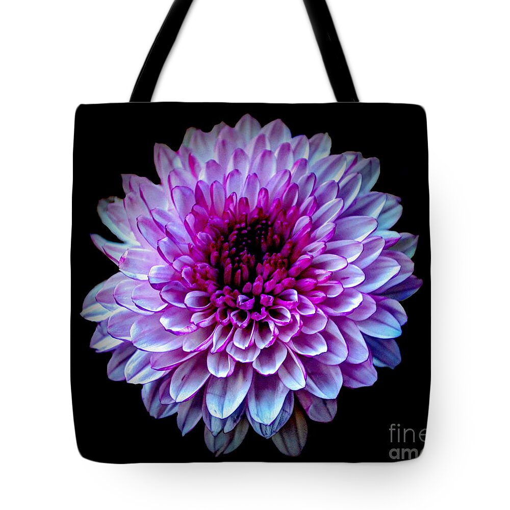 Nature Tote Bag featuring the photograph Purple On Black by Michelle Meenawong