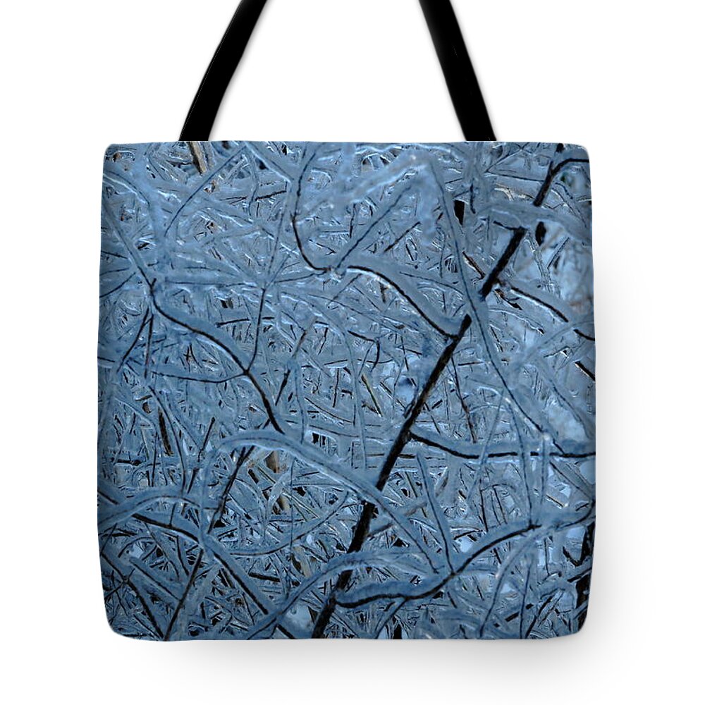 Ice Tote Bag featuring the photograph Vegetation After Ice Storm by Daniel Reed