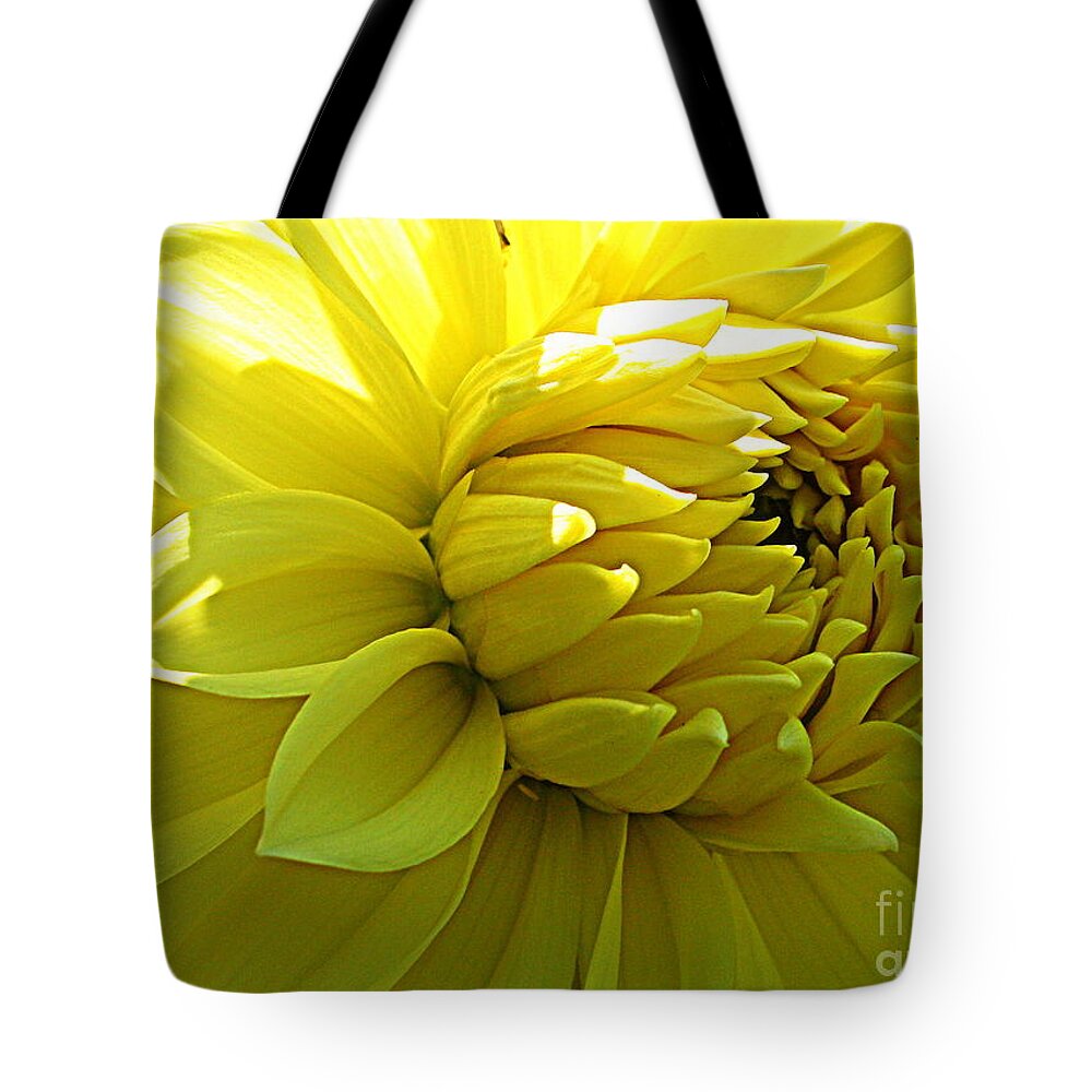 Yellow Dahlia Tote Bag featuring the photograph Golden Dahlia by Dora Sofia Caputo