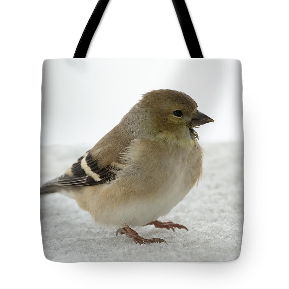 Jan Holden Tote Bag featuring the photograph American Goldfinch in the Snow by Holden The Moment