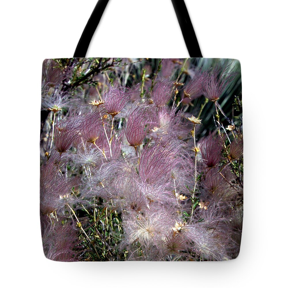 Apache Tote Bag featuring the photograph Apache Plume #1 by Farol Tomson
