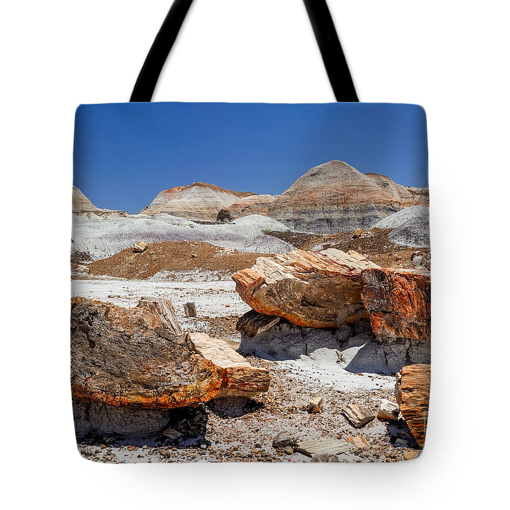 Arizona Tote Bag featuring the photograph Arizona Petrified Forest National Park #1 by Bob and Nadine Johnston