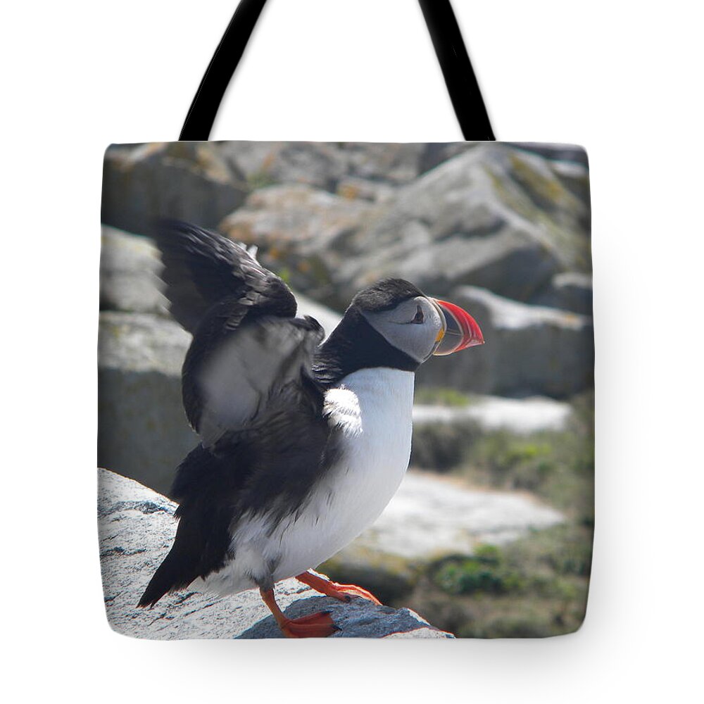Atlantic Puffin Tote Bag featuring the photograph Atlantic Puffin 4 #1 by James Petersen