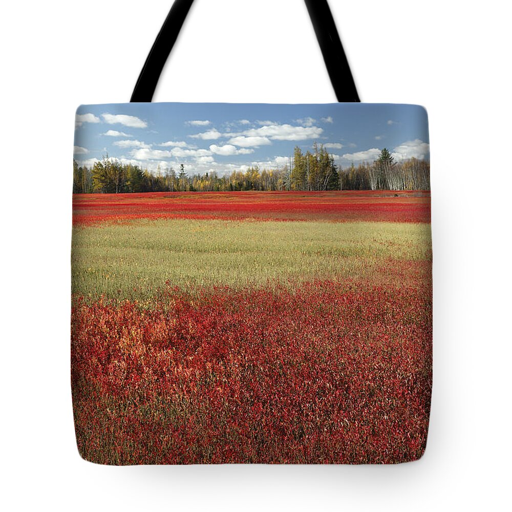 Feb0514 Tote Bag featuring the photograph Autumn Blueberry Field Maine #1 by Scott Leslie
