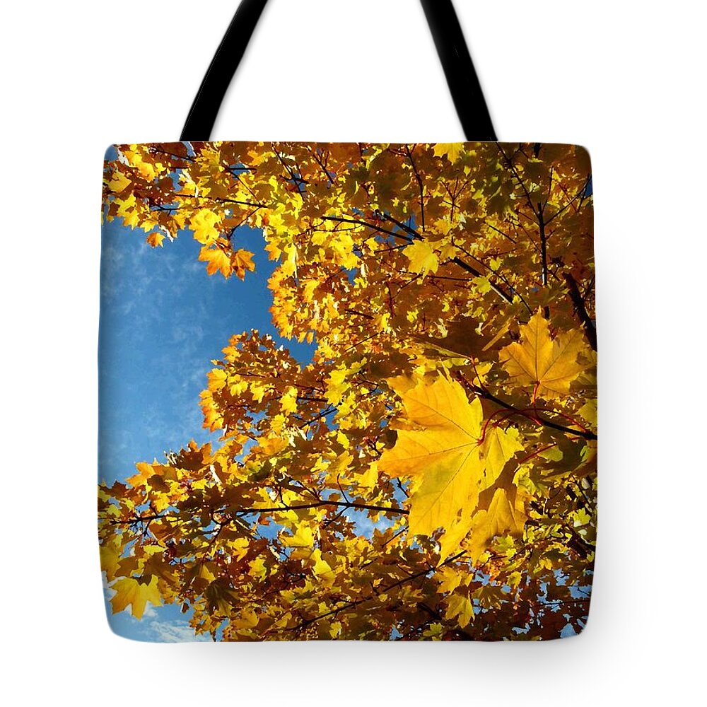 Autumn Splendor 9 Tote Bag featuring the digital art Autumn Splendor 9 #1 by Will Borden