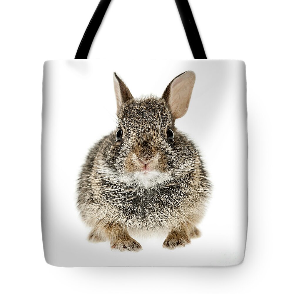 Rabbit Tote Bag featuring the photograph Baby cottontail bunny rabbit 1 by Elena Elisseeva