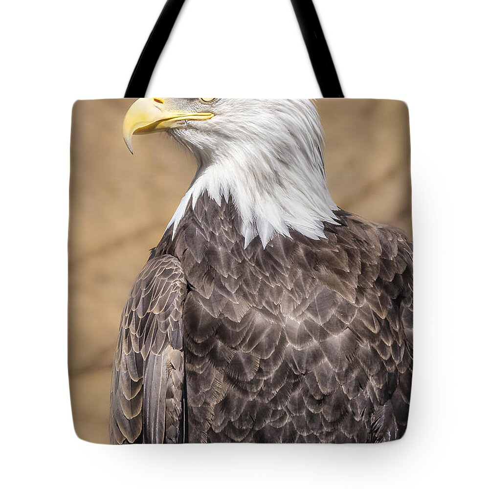 America Tote Bag featuring the photograph Bald Eagle #1 by Peter Lakomy