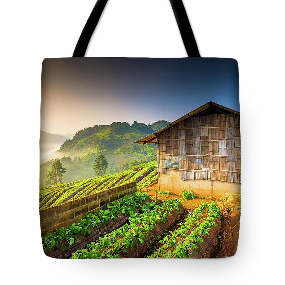 Thailand Tote Bag featuring the photograph Beautiful Sunshine At Misty Morning #1 by Primeimages
