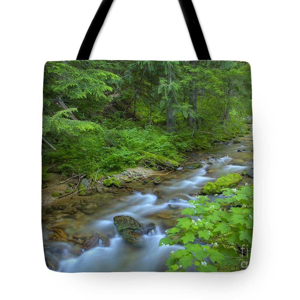 Idaho Tote Bag featuring the photograph Big Creek #1 by Idaho Scenic Images Linda Lantzy