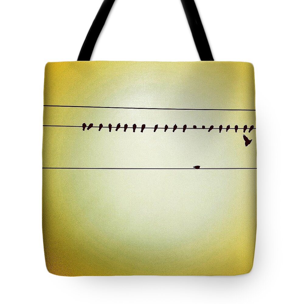  Tote Bag featuring the photograph Birds On A Wire by Julie Gebhardt