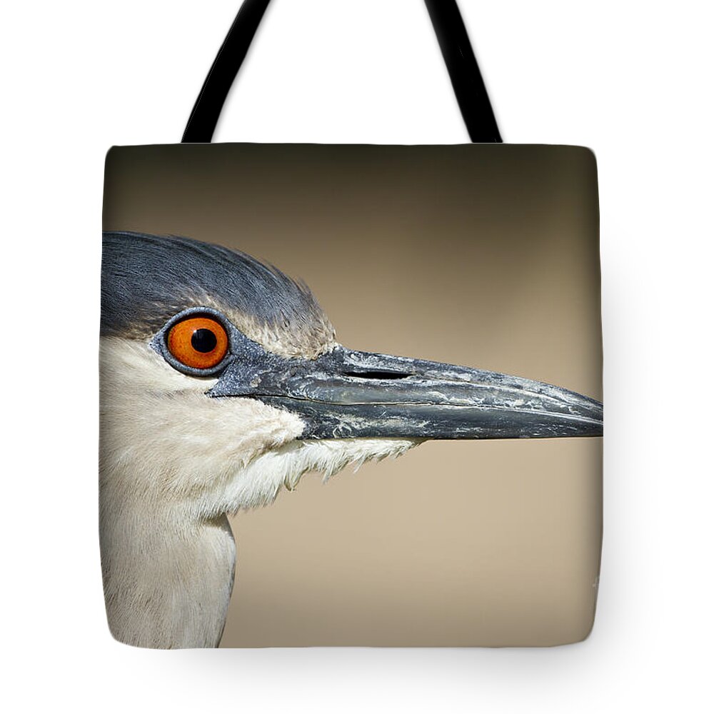 Black Crowned Night Heron Tote Bag featuring the photograph Black crowned night heron #1 by Bryan Keil