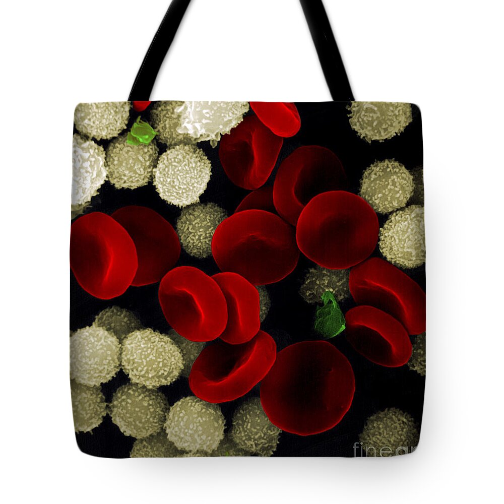 Leukocyte Tote Bag featuring the photograph Blood Cells #1 by Stem Jems