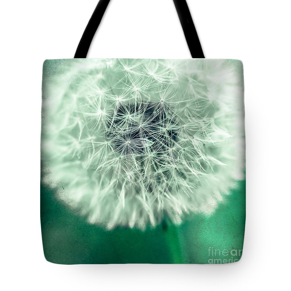 1x1 Tote Bag featuring the photograph Blowball 1x1 by Hannes Cmarits