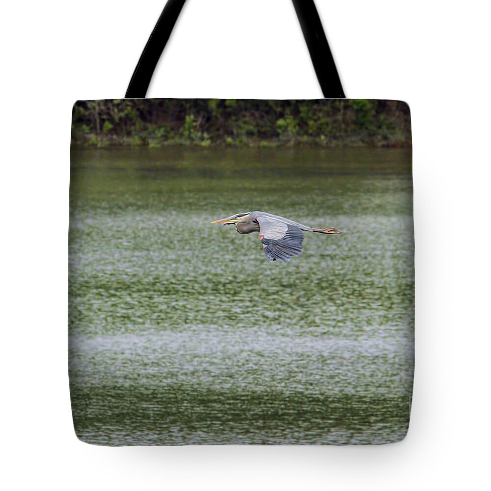 Bird Tote Bag featuring the photograph Blue Heron in Flight #1 by Jai Johnson