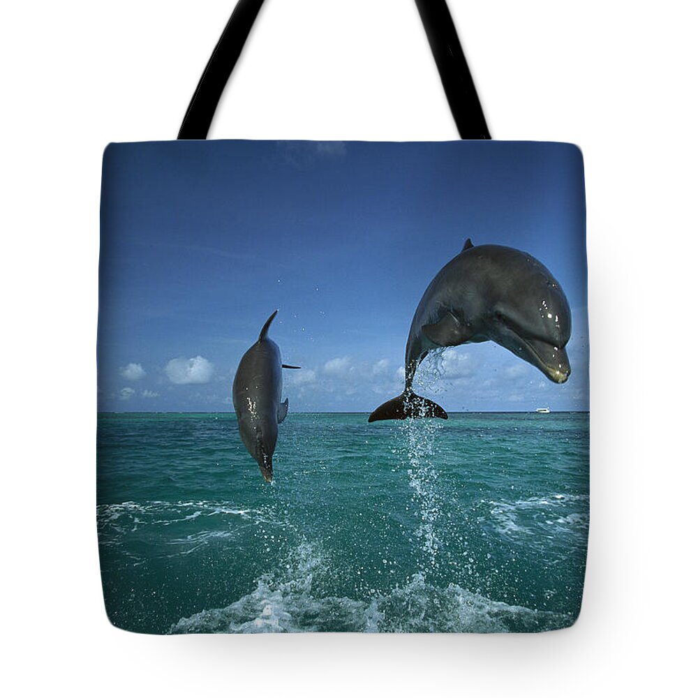 Feb0514 Tote Bag featuring the photograph Bottlenose Dolphins Leaping Honduras #1 by Konrad Wothe