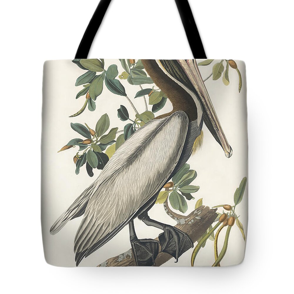 Natural Tote Bag featuring the painting Brown Pelican #3 by Celestial Images