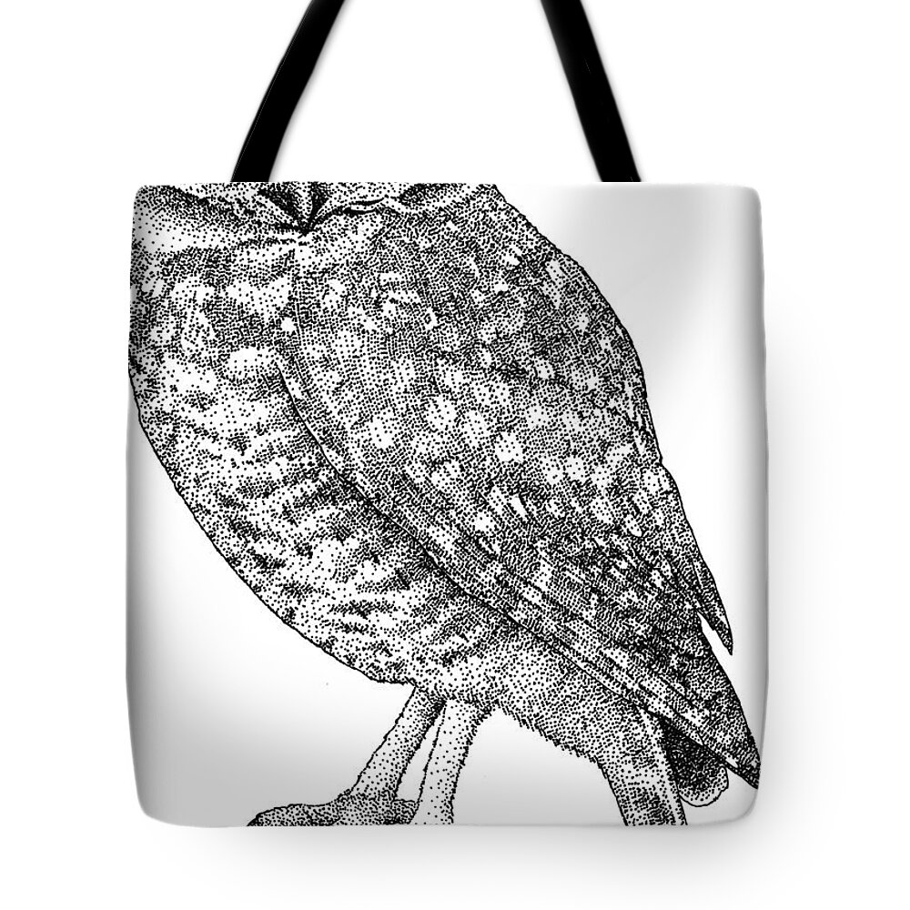 Animal Tote Bag featuring the photograph Burrowing Owl #1 by Roger Hall