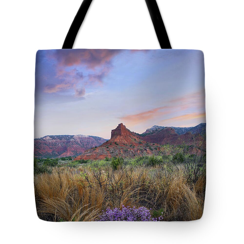 Feb0514 Tote Bag featuring the photograph Caprock Canyons State Park Texas #1 by Tim Fitzharris