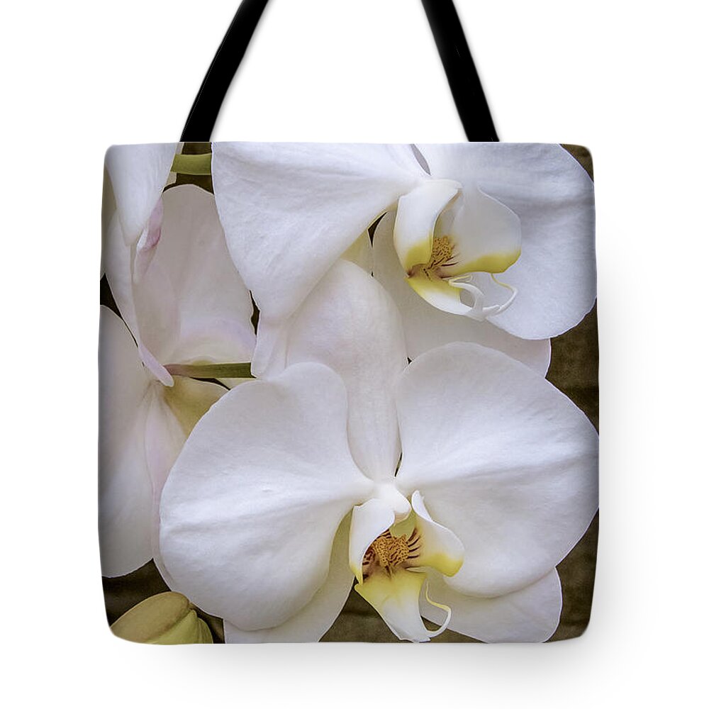White Phalaenopsis Orchids. Orchids Tote Bag featuring the photograph Cascade of White Orchids #2 by Julie Palencia