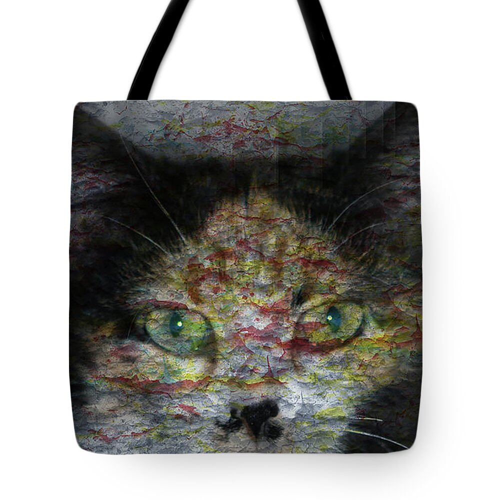 Cat Tote Bag featuring the photograph Catalina #1 by David Yocum