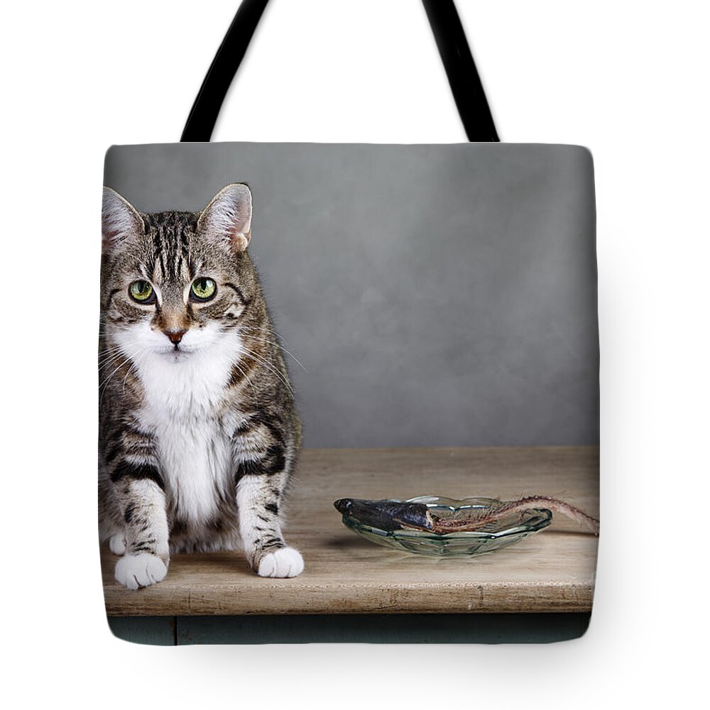Cat Tote Bag featuring the photograph Caught in the act by Nailia Schwarz