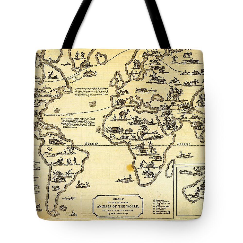 Chart Of Principal Animals Of The World 1831 Art Tote Bag featuring the painting Chart of Principal Animals of the World 1831 by MotionAge Designs