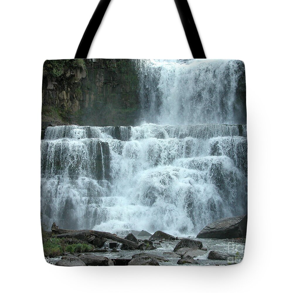 Waterfalls Tote Bag featuring the photograph Chittenango Falls by Mariarosa Rockefeller