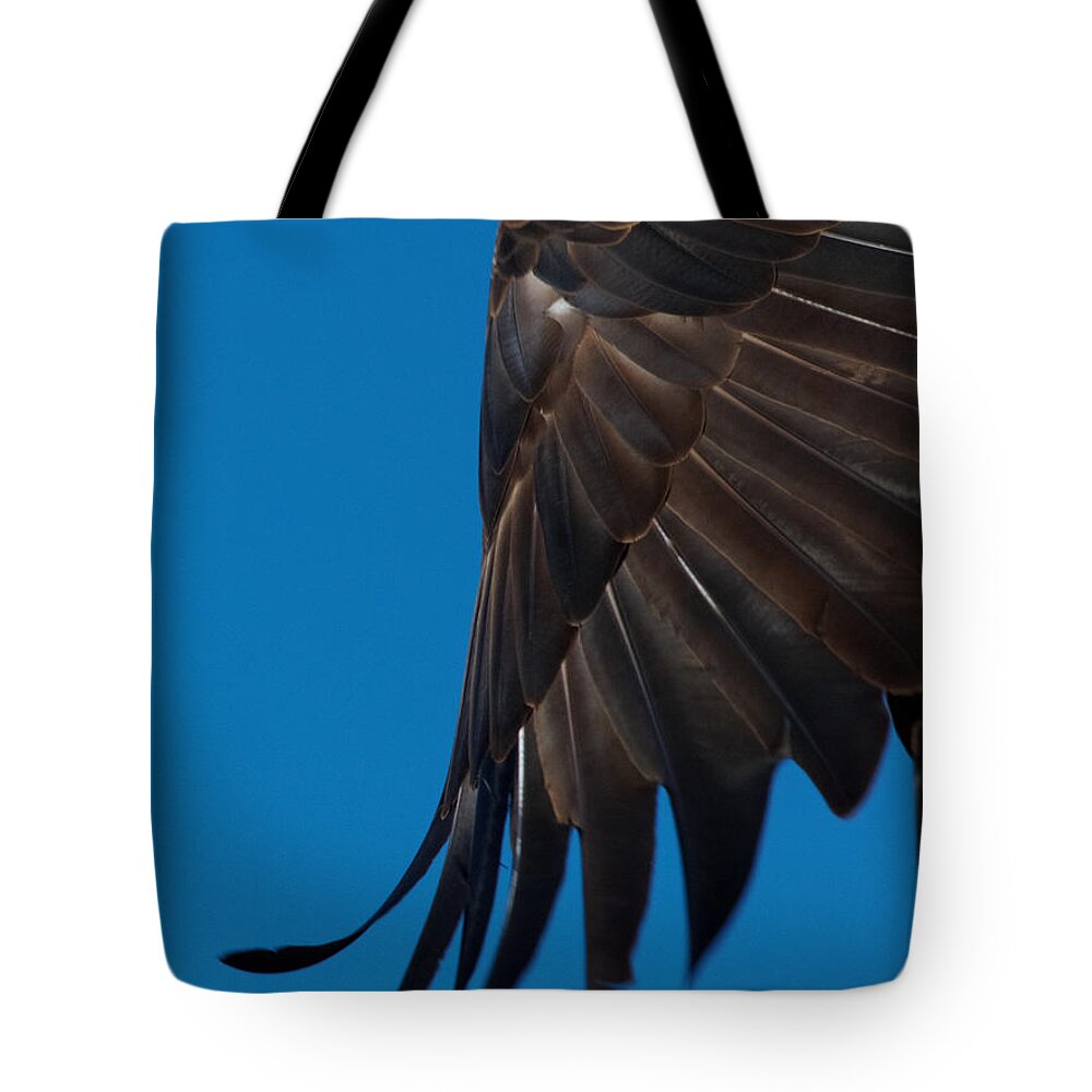 Close-up Tote Bag featuring the photograph Close-up of an American Bald Eagle in flight #4 by Nick Biemans