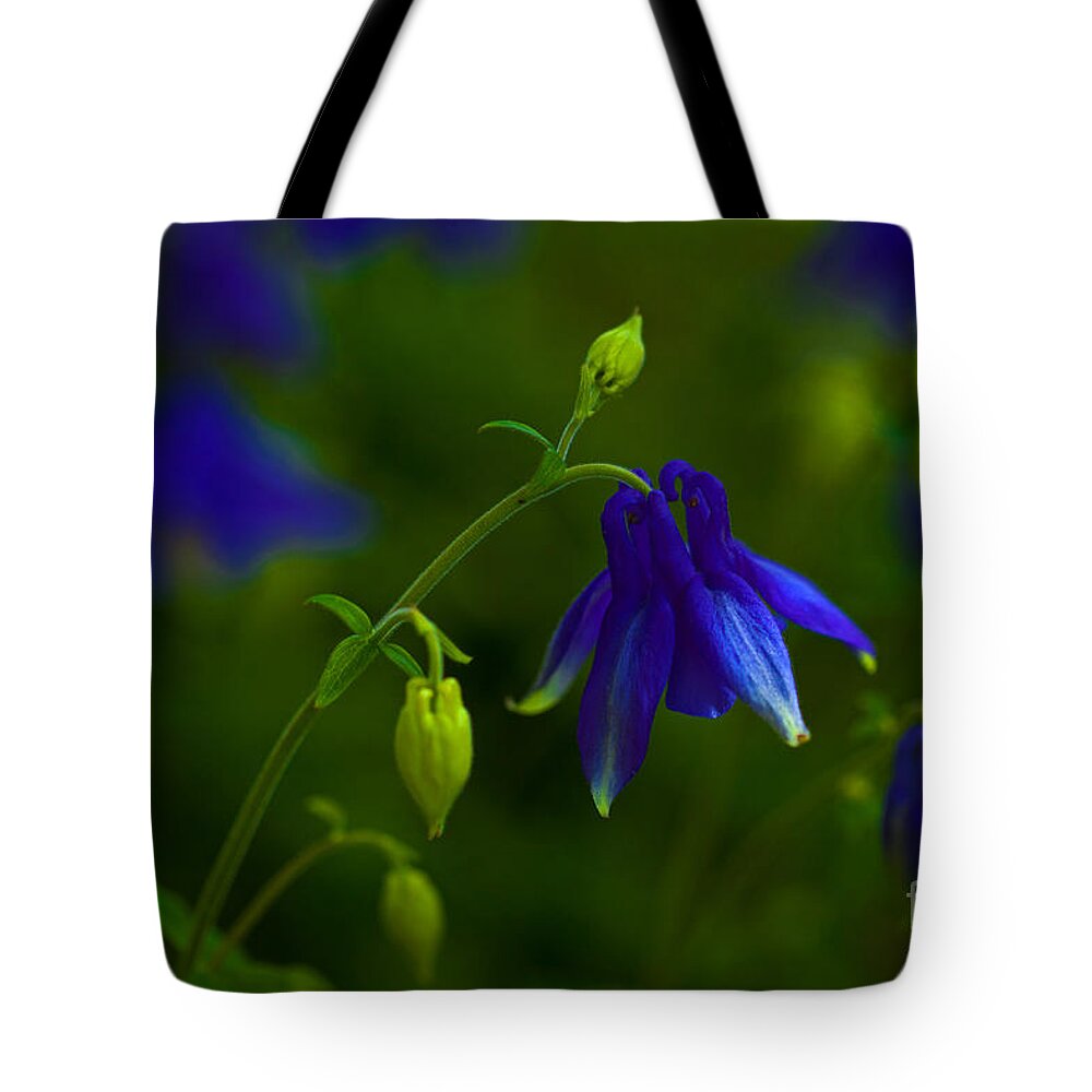 Wildflower Tote Bag featuring the photograph Columbine #2 by Barbara Schultheis