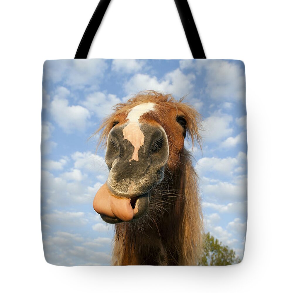 Comtois Tote Bag featuring the photograph Comtois Horse #6 by M Watson