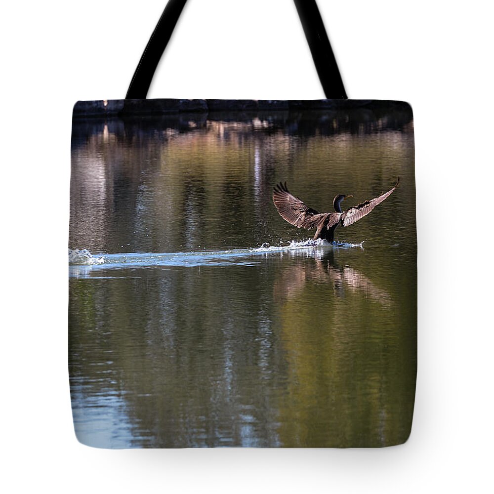 Duck Tote Bag featuring the photograph Cormorant landing #1 by John Johnson
