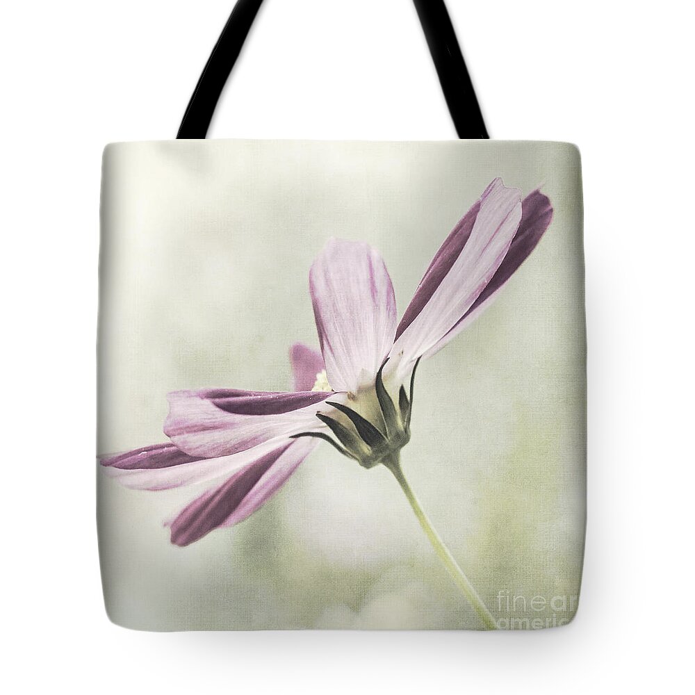 Flower Tote Bag featuring the photograph Cosmos #1 by Pam Holdsworth