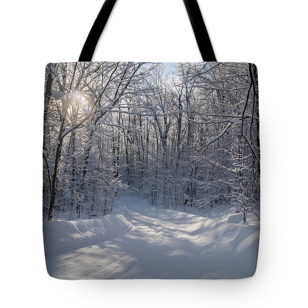 Landscape Tote Bag featuring the photograph Cottage Country Winter #1 by Pat Speirs