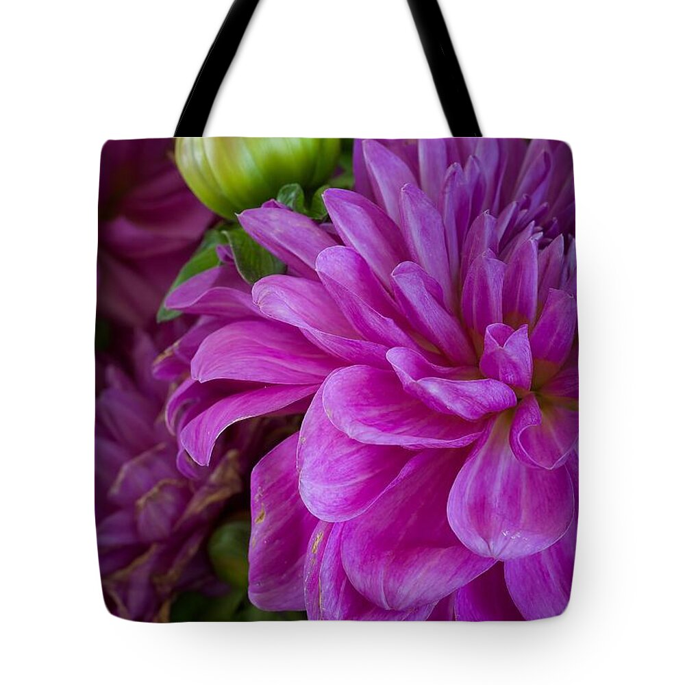 Flower Of The Day Tote Bag featuring the photograph Dahlia #1 by Jade Moon 