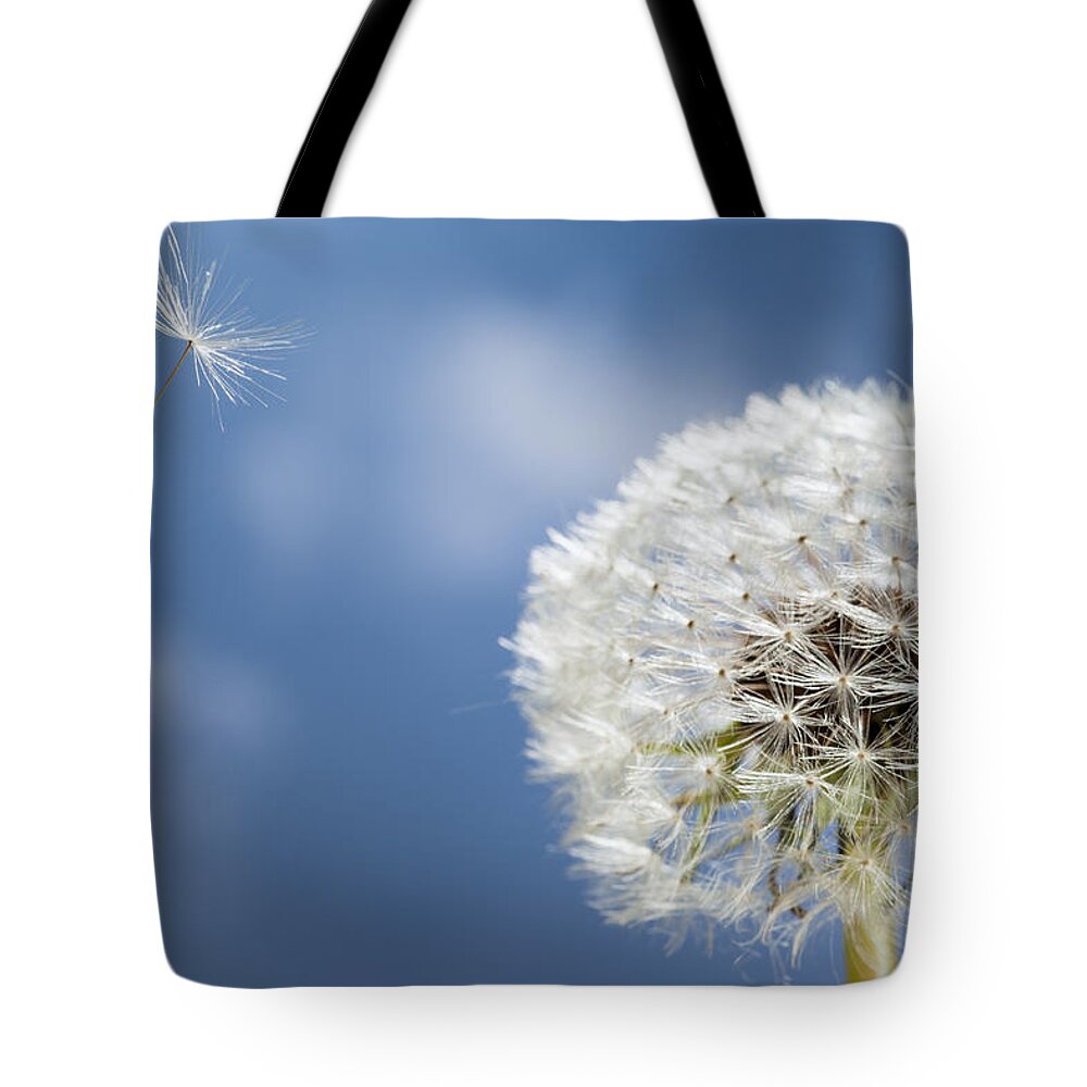 534795 Tote Bag featuring the photograph Dandelion Seed Being On The Wind Oregon #1 by Michael Durham