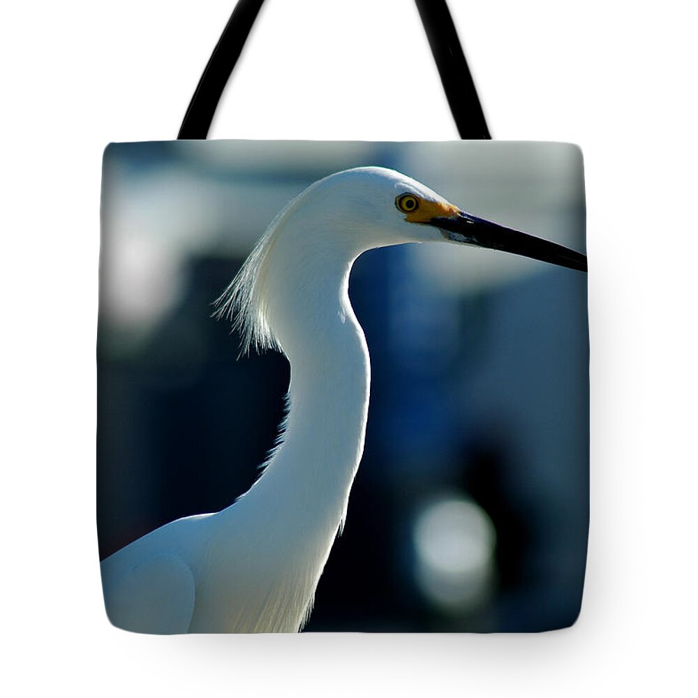 Egret Tote Bag featuring the photograph Egret Of Matlacha 2 #1 by David Weeks