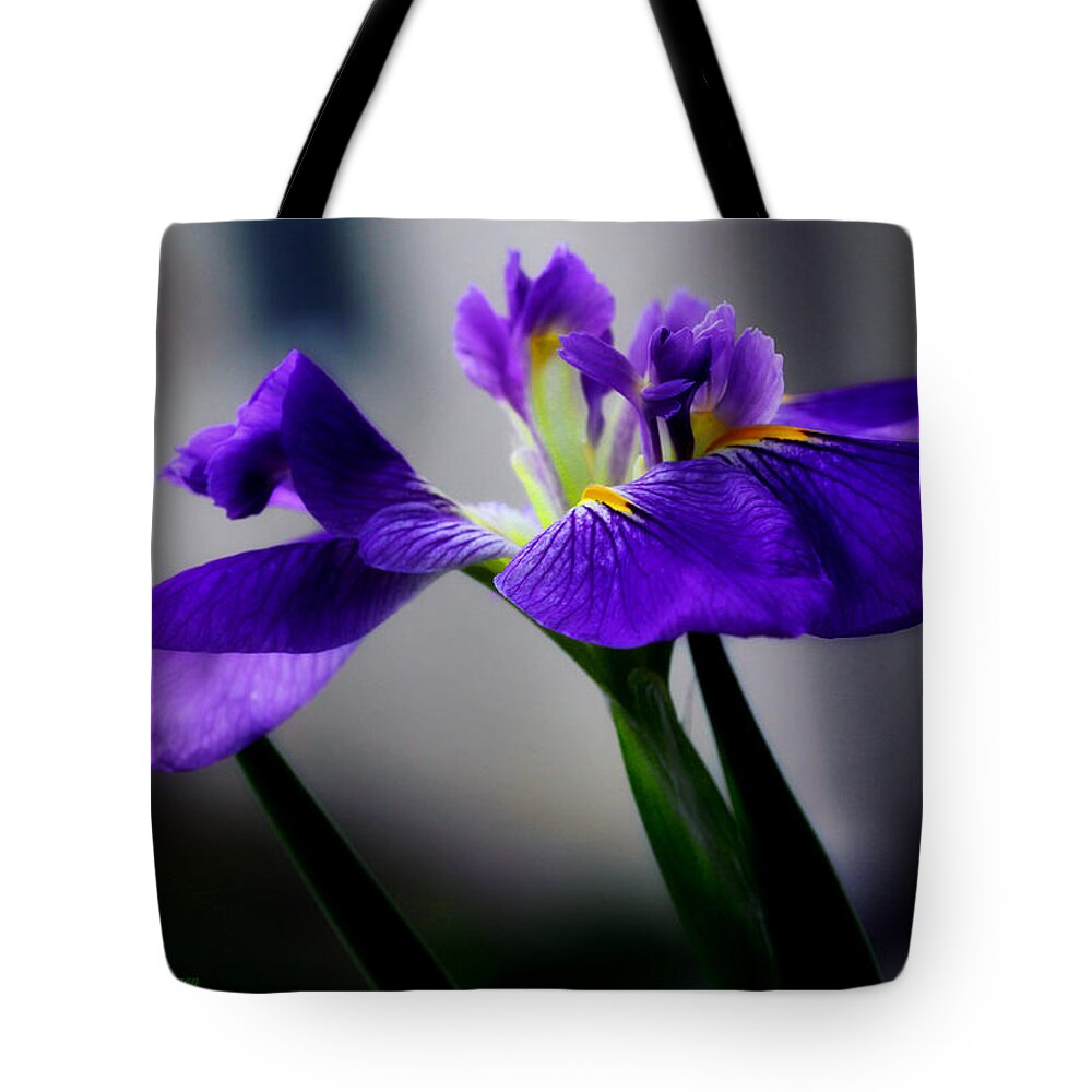 Iris Tote Bag featuring the photograph Elegant Iris by Lucy VanSwearingen