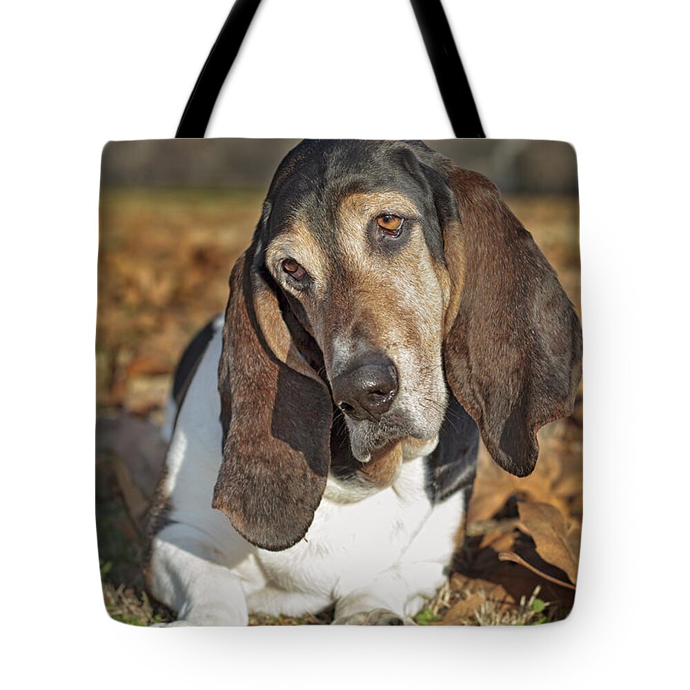 Animal Tote Bag featuring the photograph Elvis #1 by Brian Cross