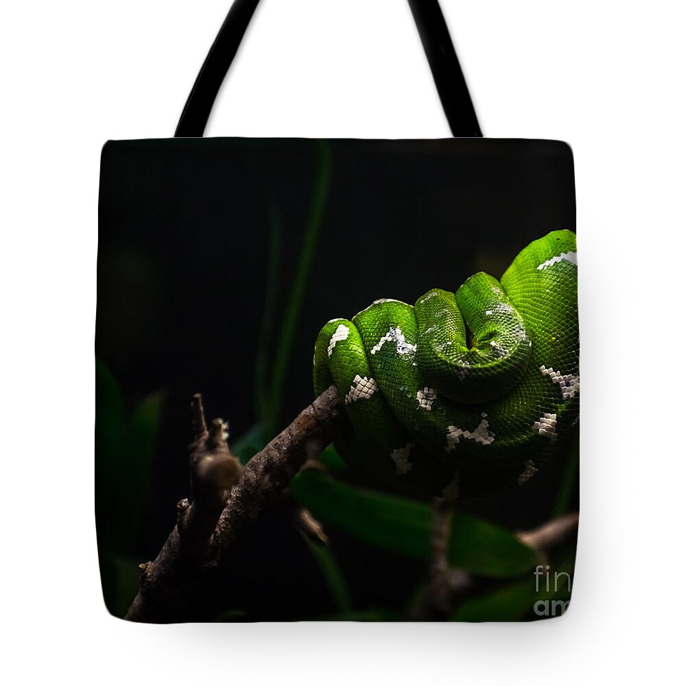 Emerald Tree Boa Tote Bag featuring the photograph Emerald Tree Boa by Imagery by Charly
