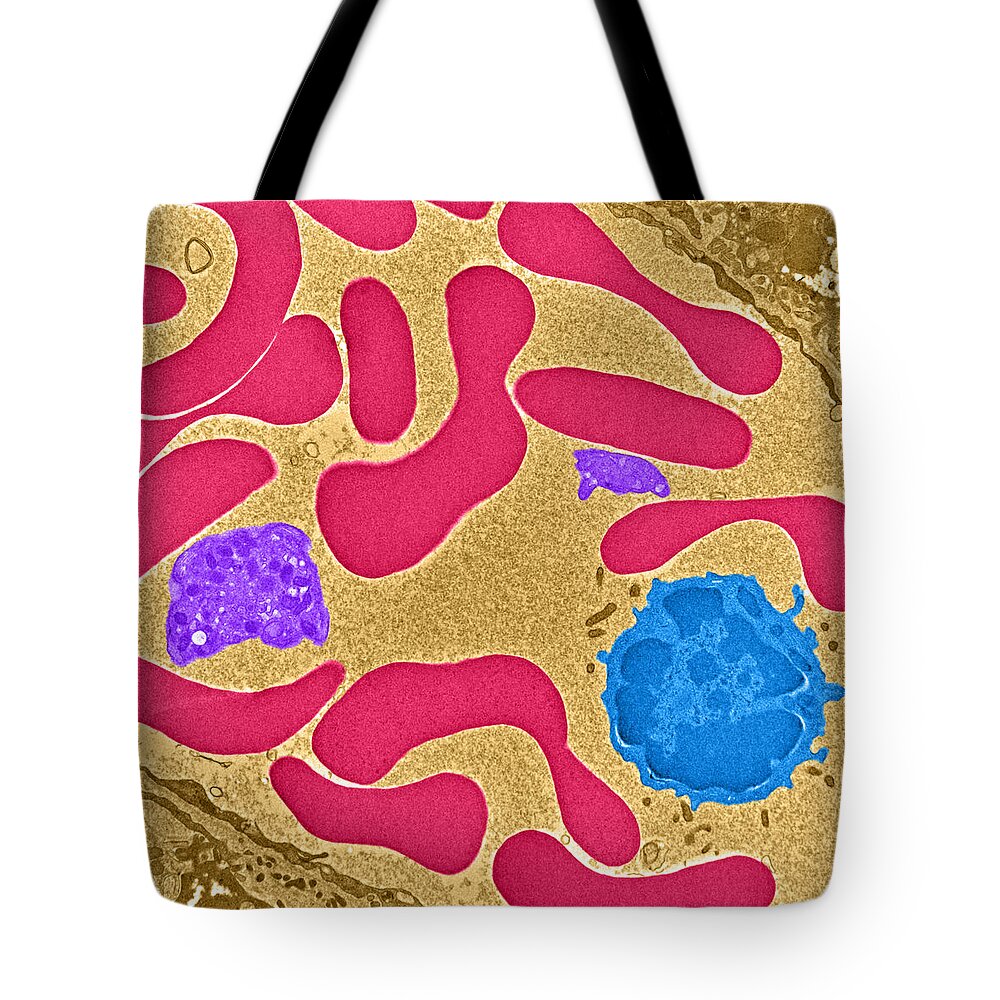 Science Tote Bag featuring the photograph Erythrocytes, Platelet And Lymphocyte #1 by Science Source