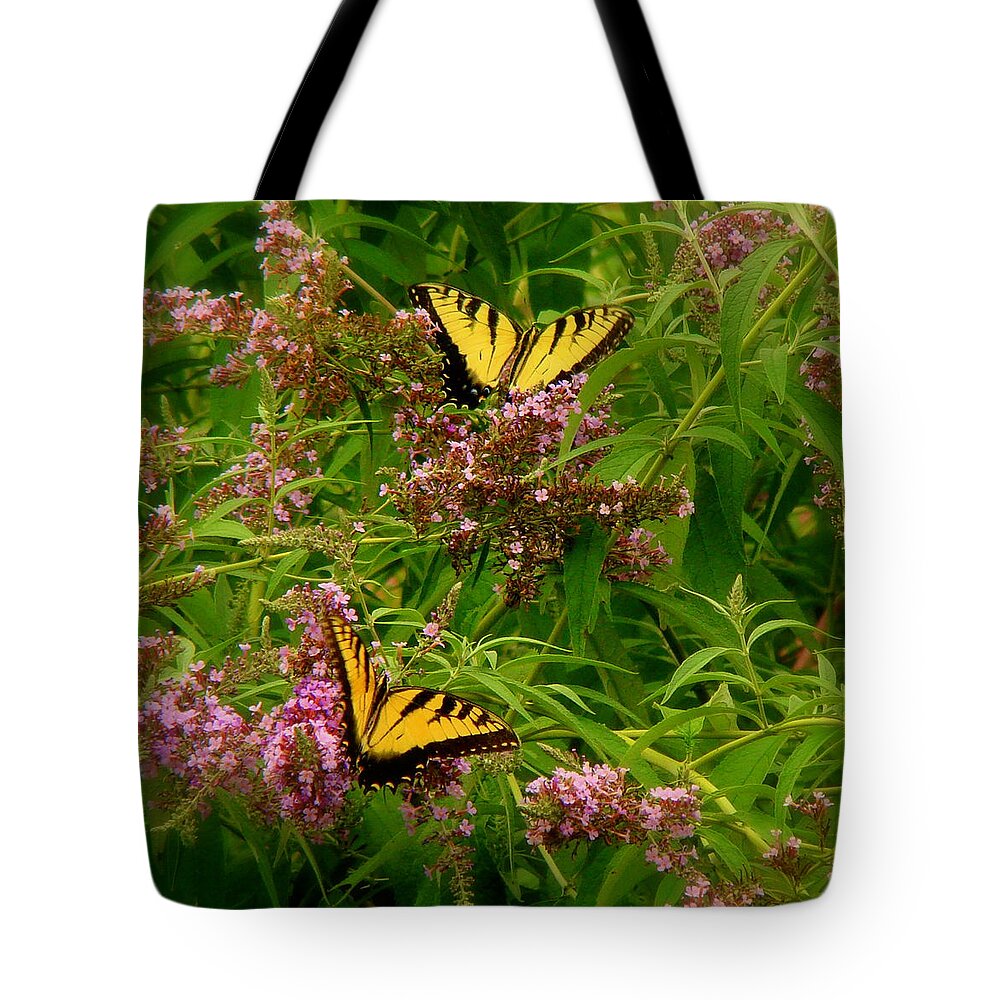 Fine Art Tote Bag featuring the photograph Explorers #1 by Rodney Lee Williams