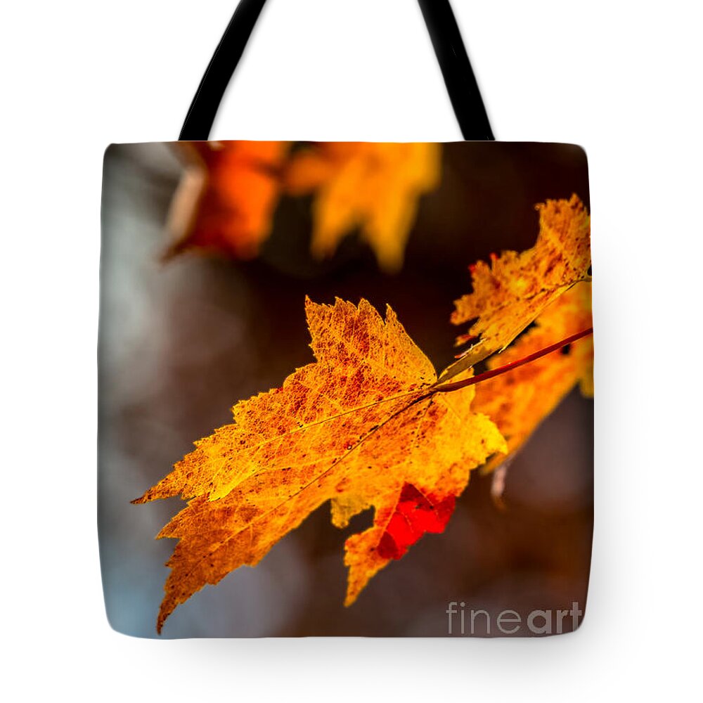 Fort-mountain Tote Bag featuring the photograph Fall colors by Bernd Laeschke