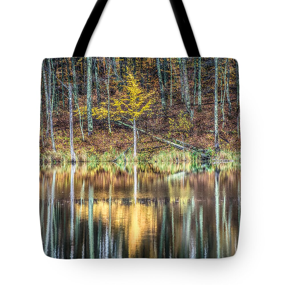 Autumn Tote Bag featuring the photograph Fall Reflections #1 by Paul Freidlund
